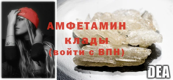 шишки Снежногорск