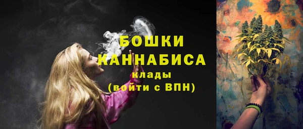 шишки Снежногорск