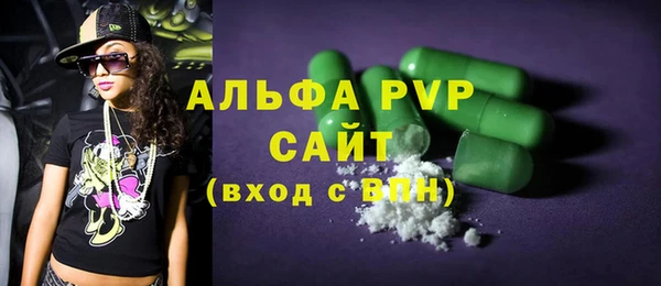 шишки Снежногорск