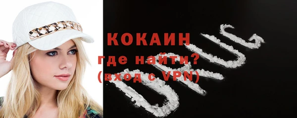 шишки Снежногорск