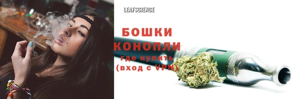 шишки Снежногорск