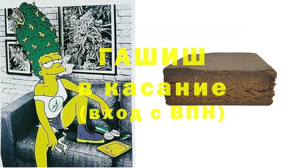шишки Снежногорск