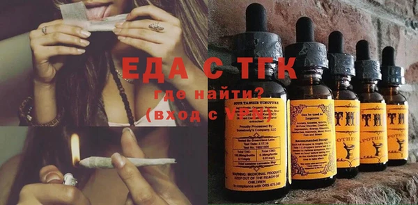 шишки Снежногорск