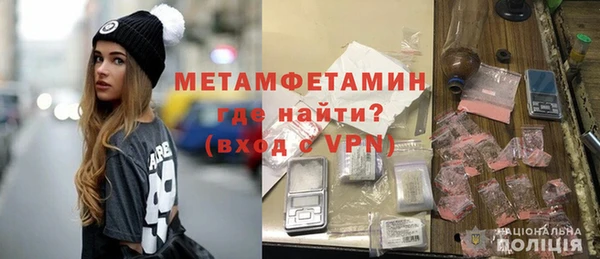 шишки Снежногорск