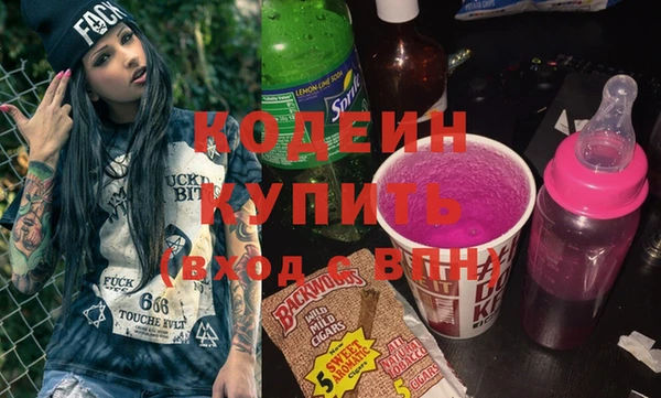 шишки Снежногорск