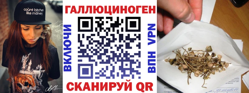 Купить где  Лебедянь  Псилоцибиновые грибы Psilocybe 